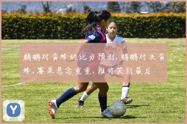 鹈鹕对黄蜂的比分预测,鹈鹕对决黄蜂,赛果悬念重重,谁将笑到最后