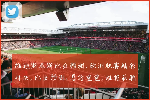 维迪斯尼斯比分预测,欧洲联赛精彩对决,比分预测,悬念重重,谁将获胜