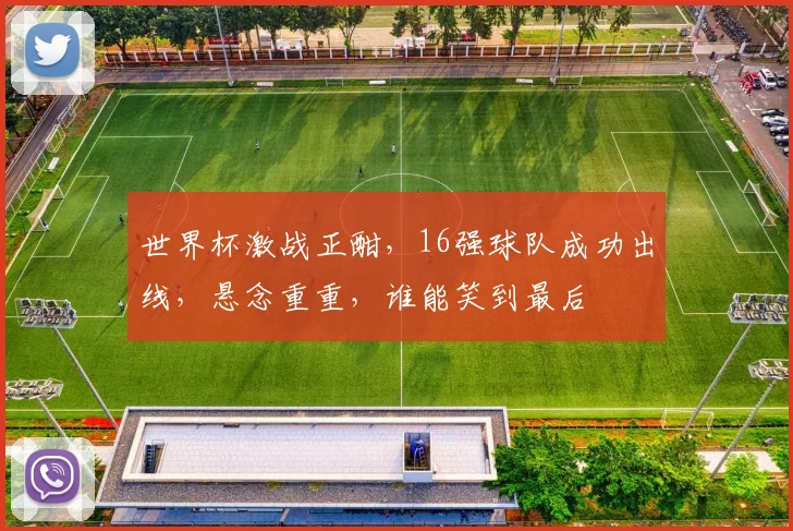 世界杯激战正酣，16强球队成功出线，悬念重重，谁能笑到最后