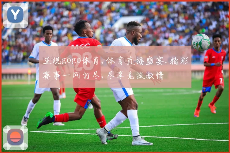 正规gogo体育,体育直播盛宴,精彩赛事一网打尽,尽享竞技激情