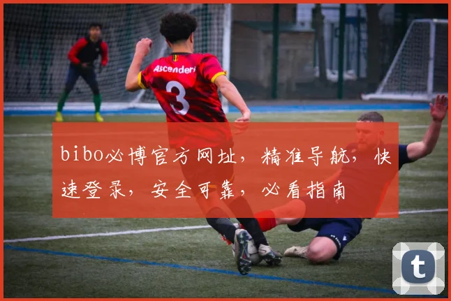 bibo必博官方网址，精准导航，快速登录，安全可靠，必看指南